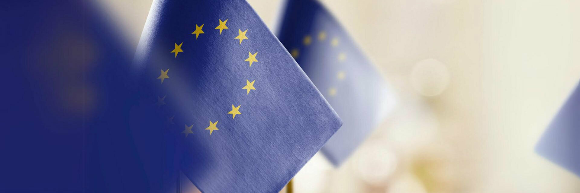 Experte Talks EU-Standardisierungsstrategie