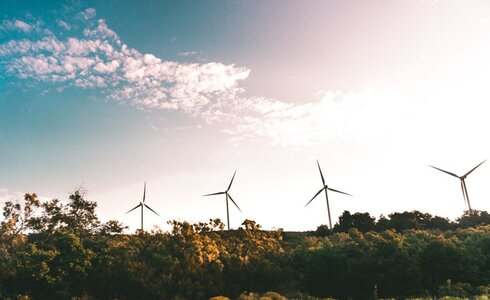 Windkraftanlagen stehen vor einem klaren Himmel und grünen Bäumen.